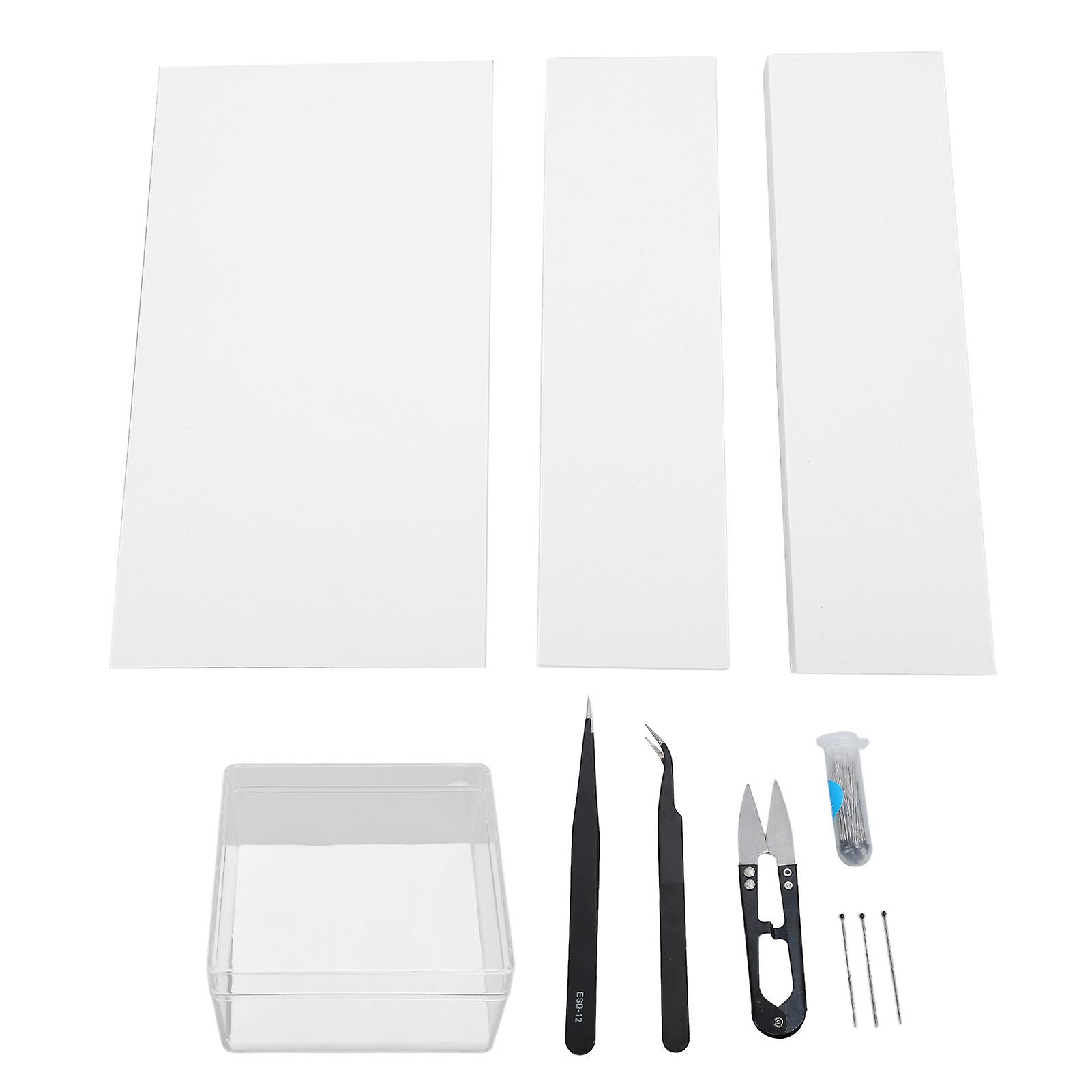 Butterfly Specimen Tool Kit, Display Case, 8 Sheets of Paper, Press, EVA Foam Butterfly Board, 100 Stainless Steel Butterfly Pins