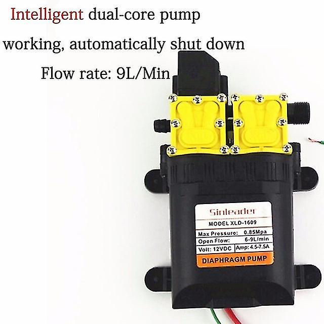 125Psi العاصمة 12v 9l / دقيقة مضخة مياه كهربائية زراعية مضخة طاقة مزدوجة صغيرة عالية الضغط الحجاب الحاجز بخاخ المياه غسيل السيارات