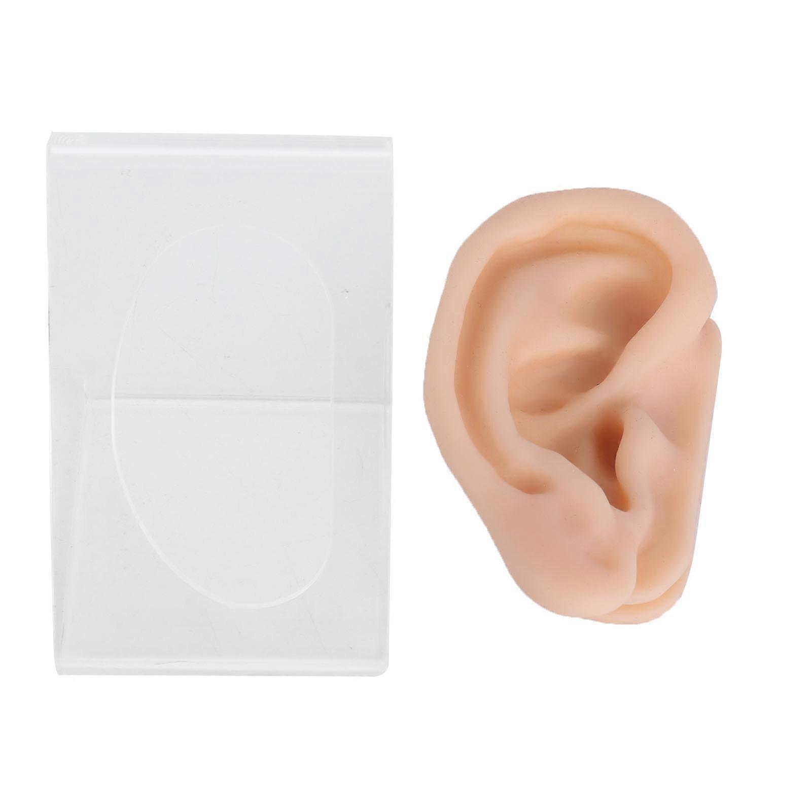 Soft Silicone Ear Model Simulation Ear Acupuncture Practice Model For Hospital Display
