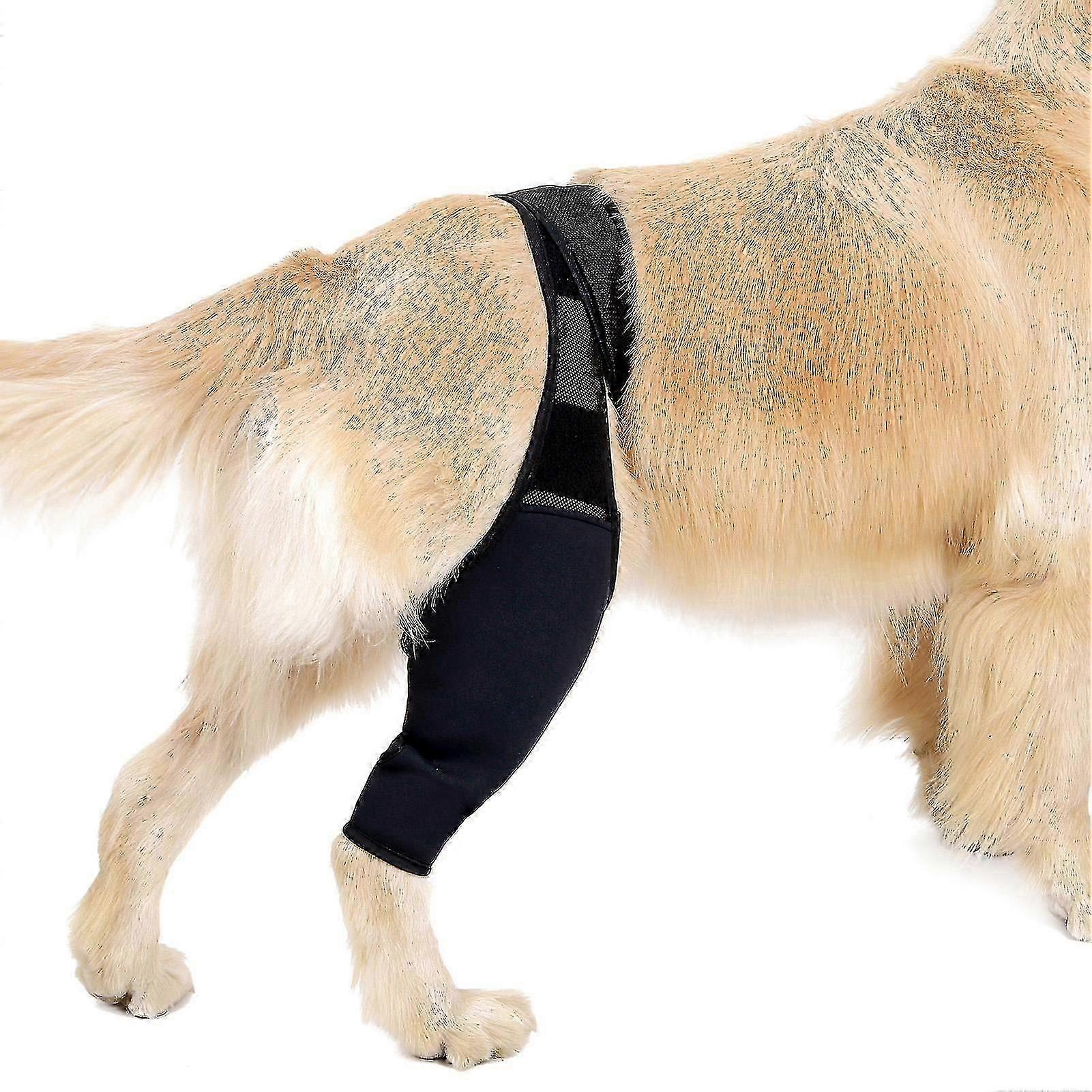 Dog Recovery Sleeve Front Rear Leg Support Brace For Injury Sprain Relieve Pain