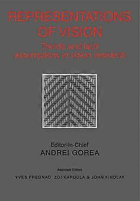 Representations of Vision