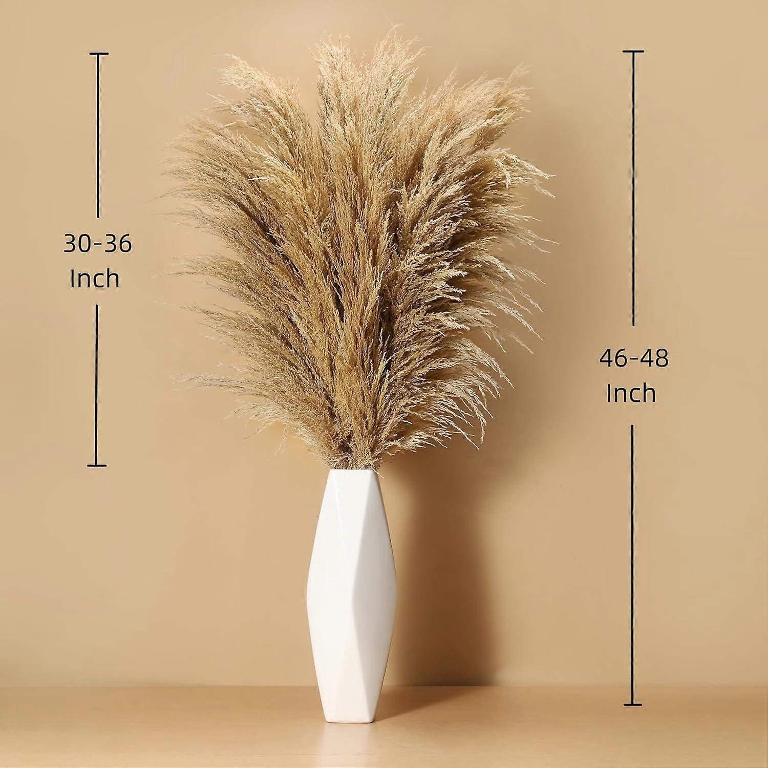 Pampas Grass Decor - 9 Stems 48 Inch Tall Fluffy Dried Grass for Floor ...