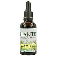 Bearberry Extract 50 ml