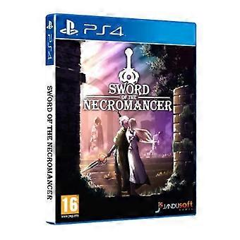 Jeu Sword of the Necromancer PS4