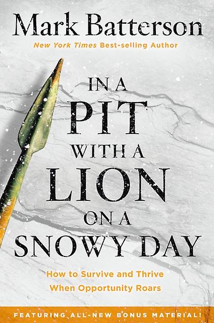 In A Pit With A Lion On A Snowy Day by Mark Batterson Paperback