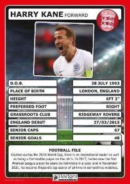 England Football Superstars Poster Set by Badger Learning Paperback
