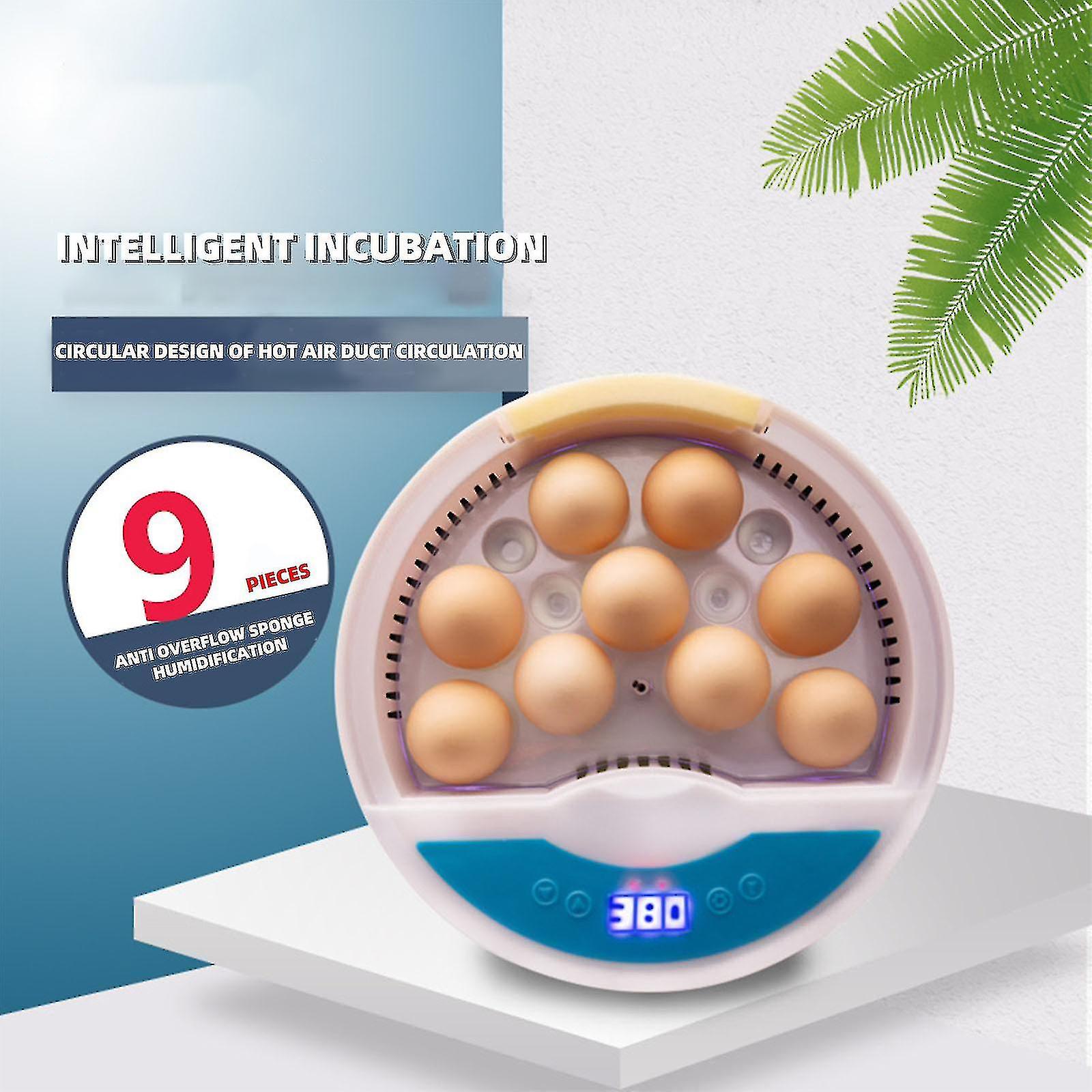 All-in-one Eggs Incubators (9 Eggs)-an Automatic Gashapon Incubators With Digital Temperature And Humidity Control