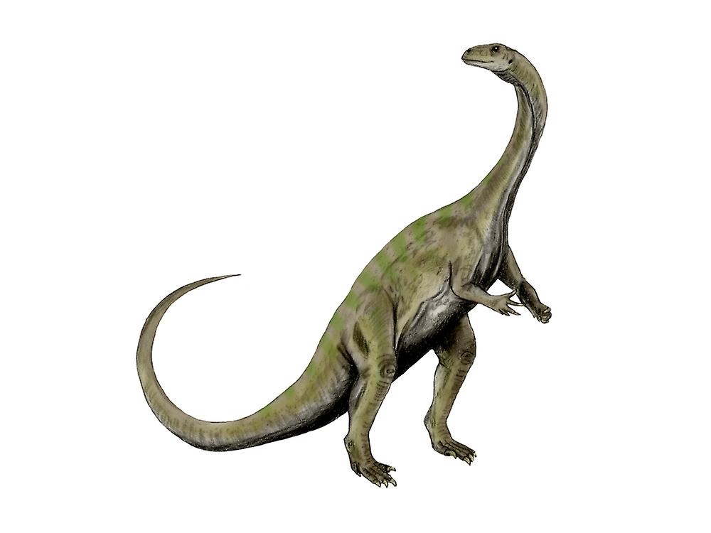 Massospondylus dinosaur. Poster