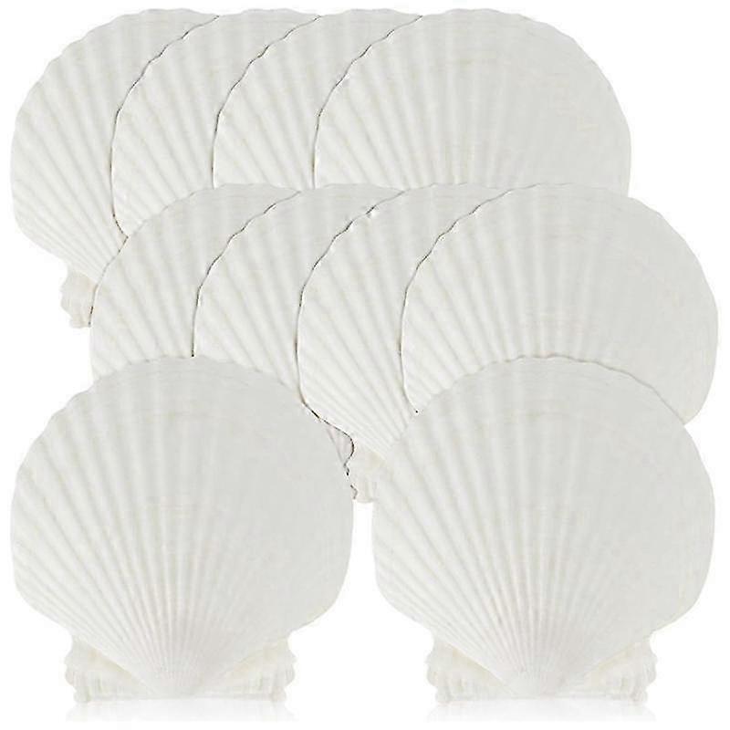 15 pcs natural concha do mar grande branco, 4-4,7 polegadas conchas de vieira para artesanato DIY, servindo comida, assando