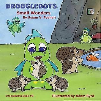 Droogledots - Small Wonders