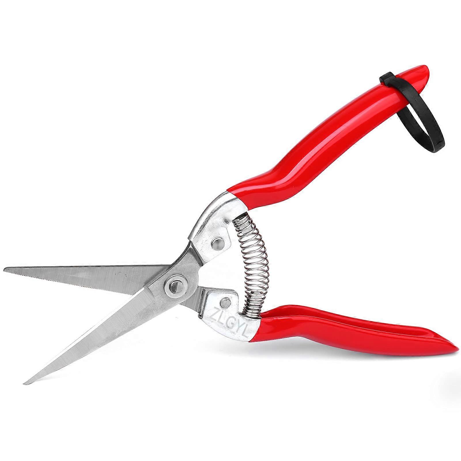 Professional Micro-Tip Pruning Snip for Plants, Stainless Steel Sharp Blades, Comfortable Ergonomic Handle, Lightweight Design