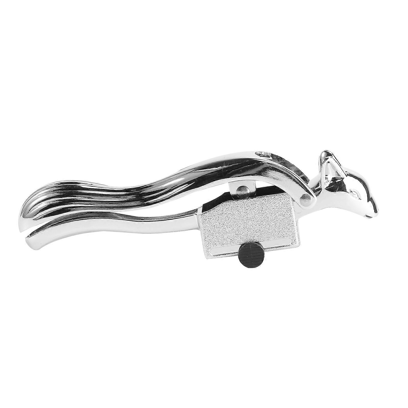 Creative Style Garlic Press Heavy Duty Stainless Steel Mashing Garlic Tool Squirrel Shape for Home Users Silver 1Pack