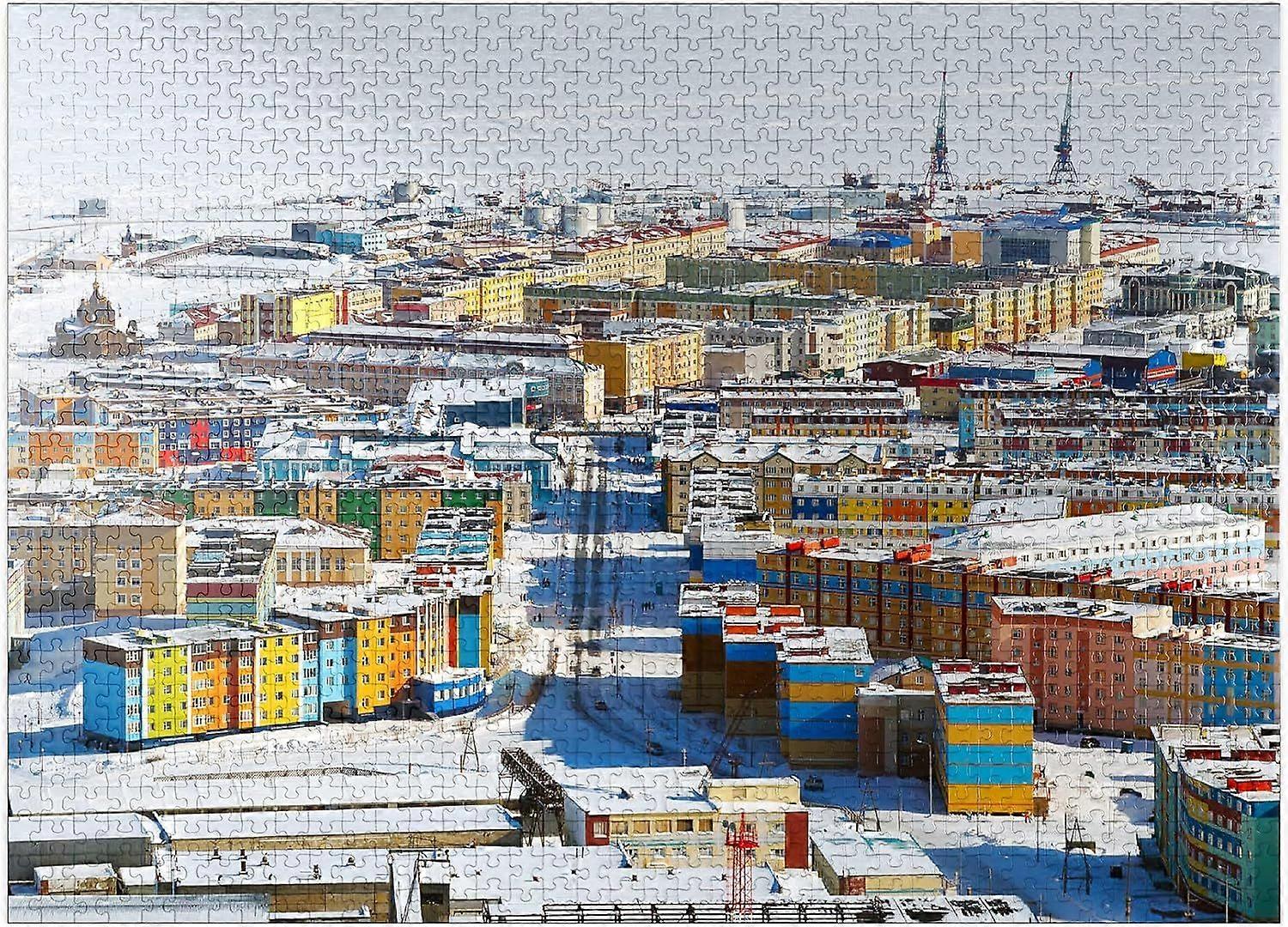 アナディル市の冬のパノラマ。ロシア - 大人のためのプレミアム1000ピースジグソーパズルスタイル633