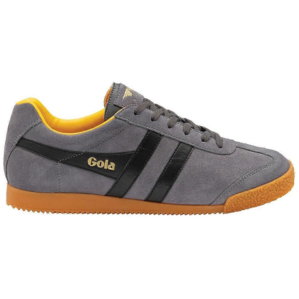 Gola Harrier Suede CMA192GB universal all year men