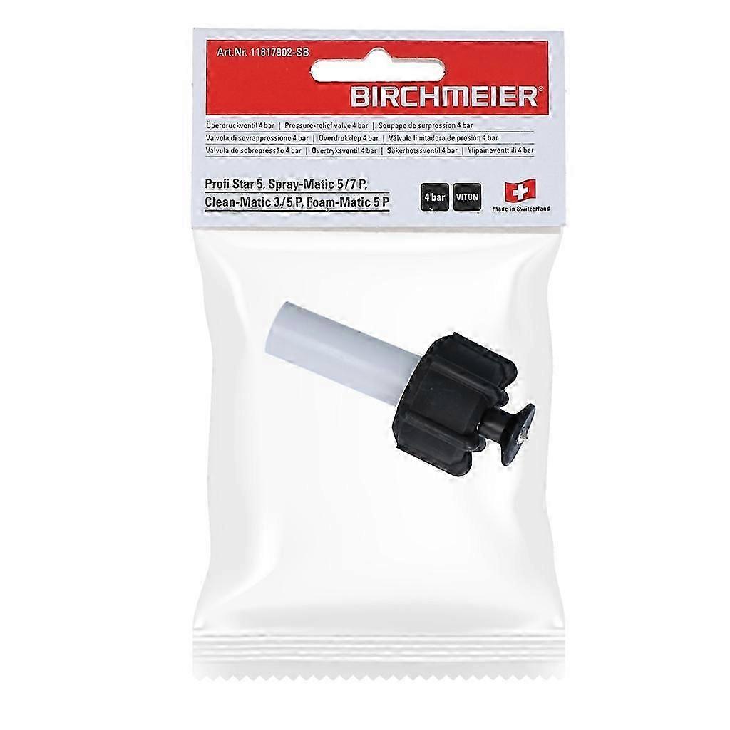 Birchmeier Sicherheitsventil 4 bar