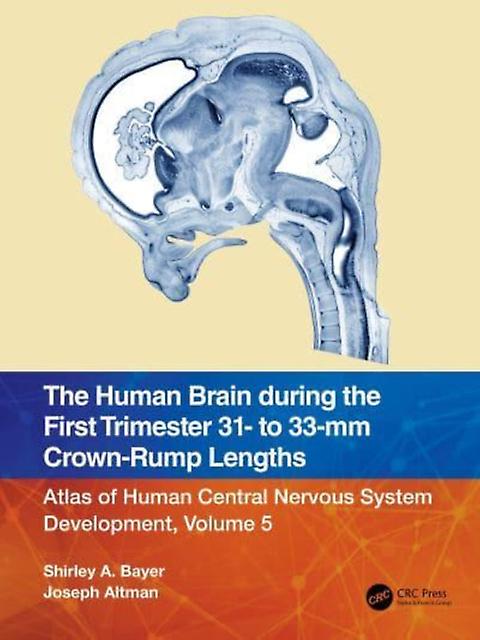 The Human Brain During The First Trimester 31 To 33mm Crownrump Lengths by Joseph Altman Paperback