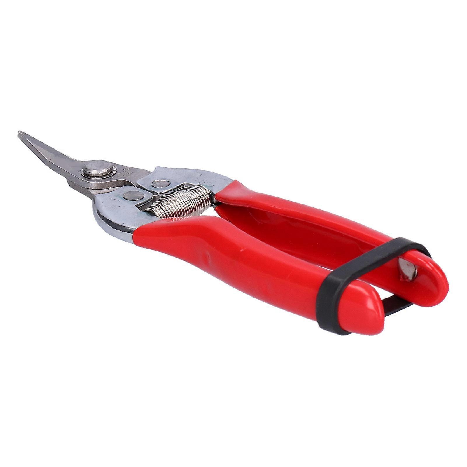 Scissors Fruit and Flower Picking Shears for Pruning Flower Branches and Gardening Pruning