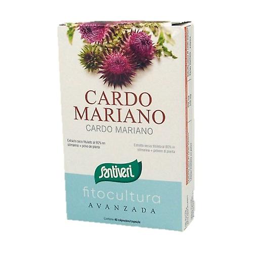 Milk thistle 40 capsules