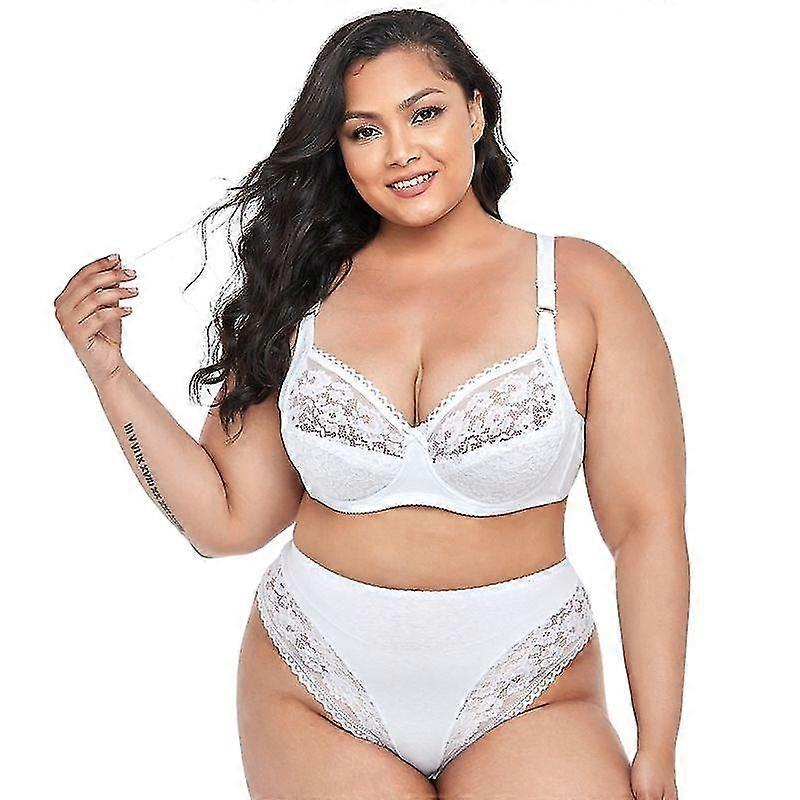 12 Pack Zařízení automatické zavlažování zařízení