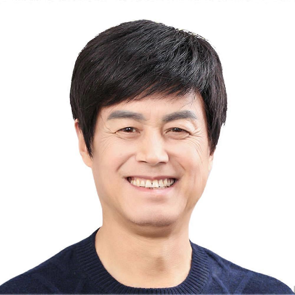 Men's Short Hair Wigs Resuable Heat Resistant Short Layered Wig for Daily Business Wear
