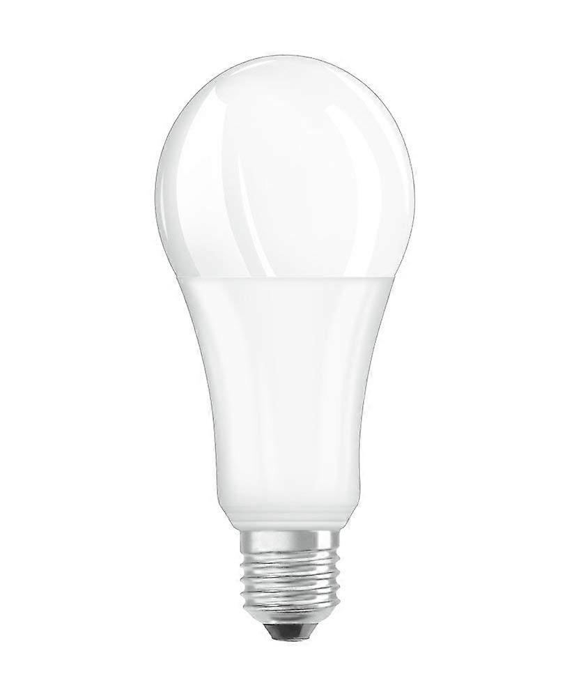 Dimmable LED Lamp With E27 Socket 2700K Warm White LED Superstar Pear-Shaped Bulb 20W 150W Replacement Matte Finish