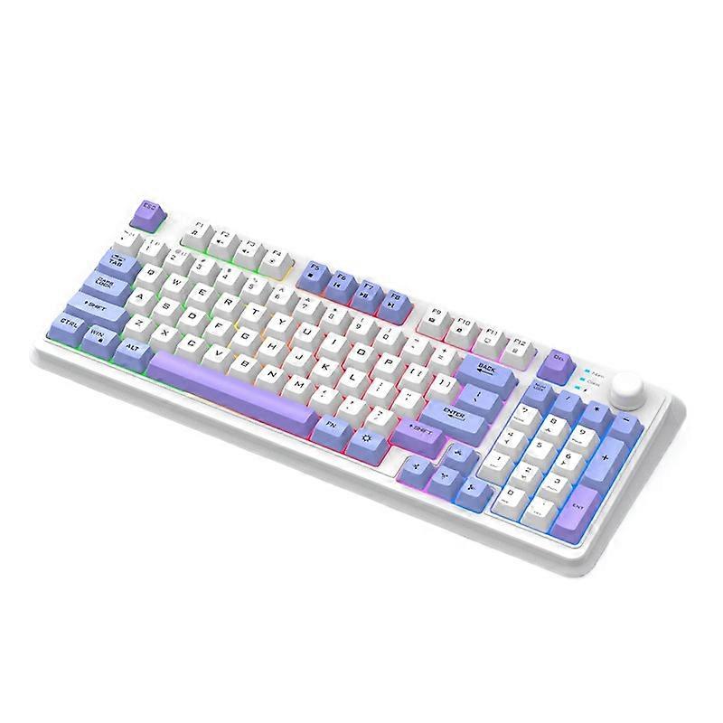 Wireless Bluetooth Mechanical Keyboard Gaming Office Laptop Computer Dual Mode