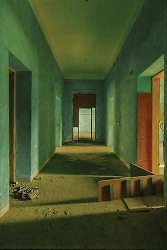 Genius Of The Place Al Saggaf Palace Paperback