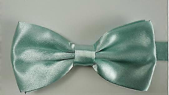 Tuxuan Dusty Sage Wedding Bow Tie