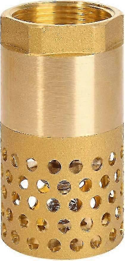 1 Inch Foot Valve Strainer for Home Use - Check Valve with Compact and Lightweight Design