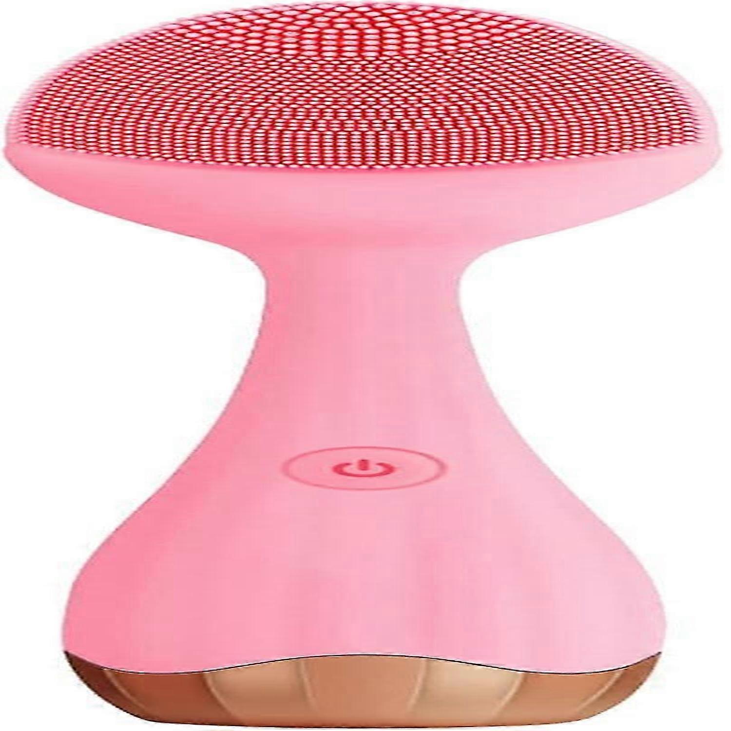 Sonic Facial Cleansing Brush.