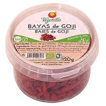 Organic Goji Berries 120 g