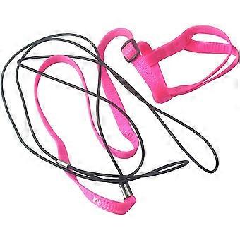 Adjustable Feather Tether Bird Harness And Leash For Parrot African Grey Cockatoo Macaw Training