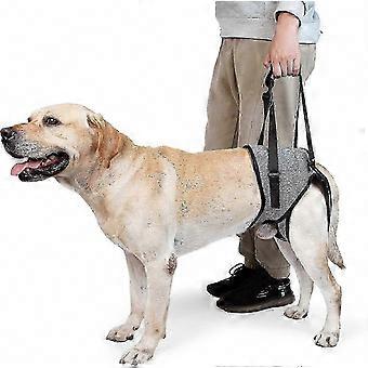 Supports Weak Hind Limbs: Hind Leg Support Sling for Large Elderly Dogs