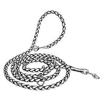 Versatile Hands-Free Nylon Dog Collar Leash