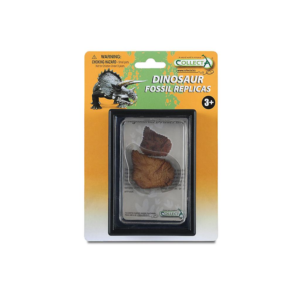 CollectA Collectible Dorsal Plate of Stegosaurus Display Case Ages 3+ and Up