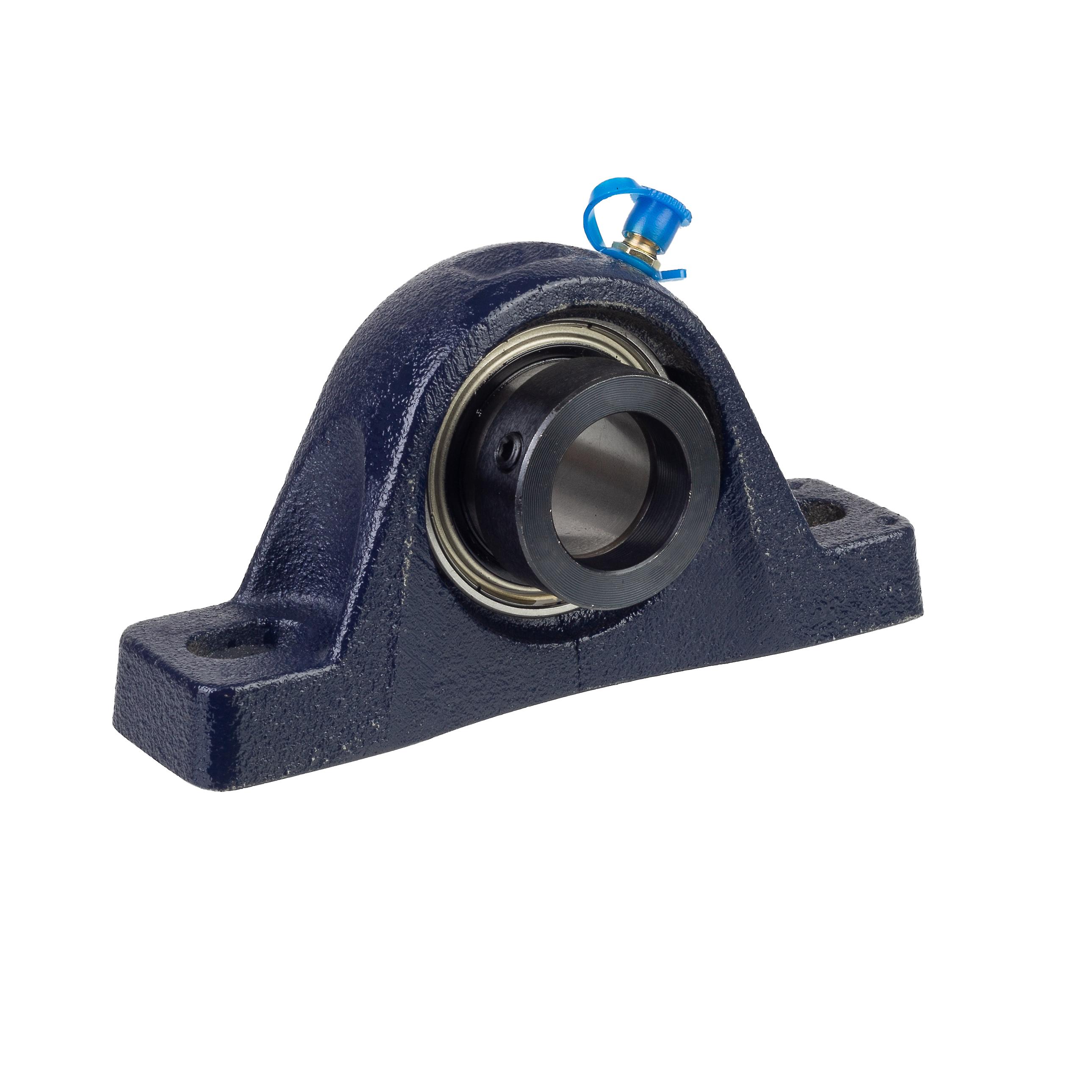 INA RASE25XLN Two Bolt Pillow Block Unit 25mm Bore