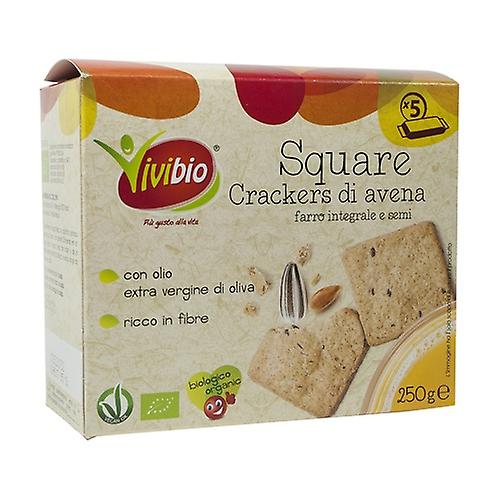 Square - oat and wholemeal spelled crackers and seeds 5 units of 50g