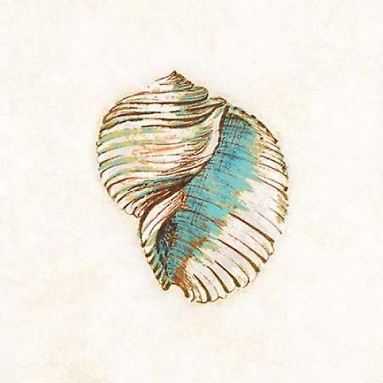 Coastal Teal Seashell I Poster