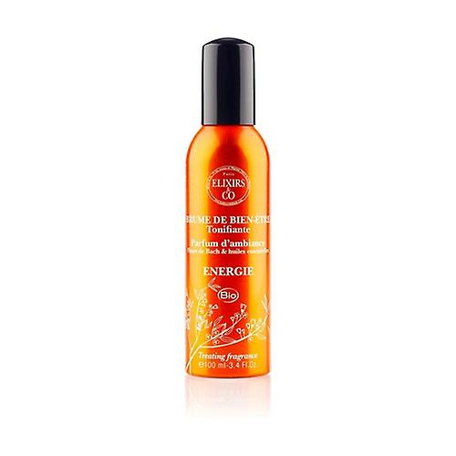 Energy well-being mist 100 ml