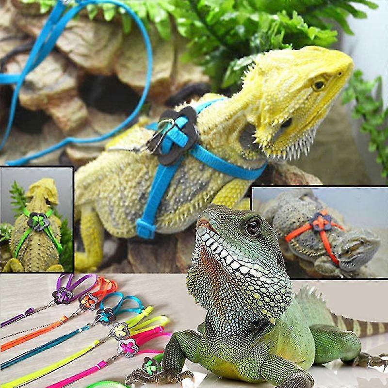 1 Pcs Lizard Harness Leash Exquisite Adjustable Leash Lizard Leash For Lizard