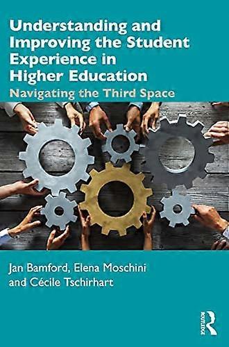 Understanding and Improving the Student Experience in Higher Education: Navigating the Third Space
