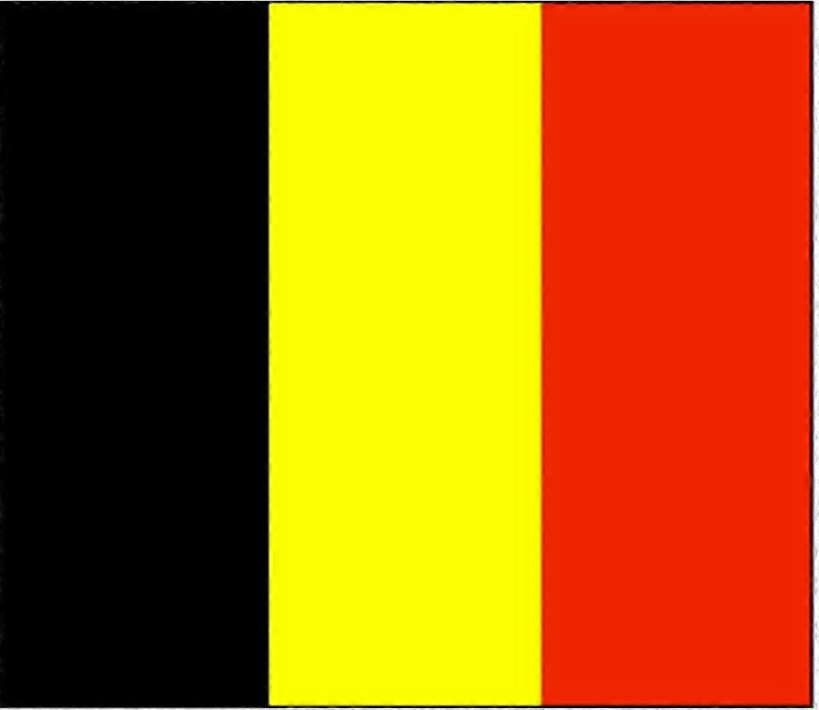 Flag Various Countries Of The World Polyester Flag