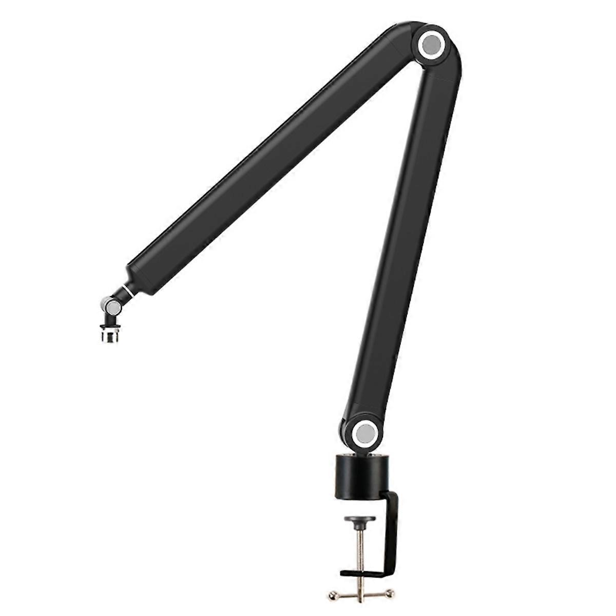 Microphone Boom Arm,360Rotatable Mic Stand,Microphone Holder with 3/8in 5/8in Adapters,Microphone