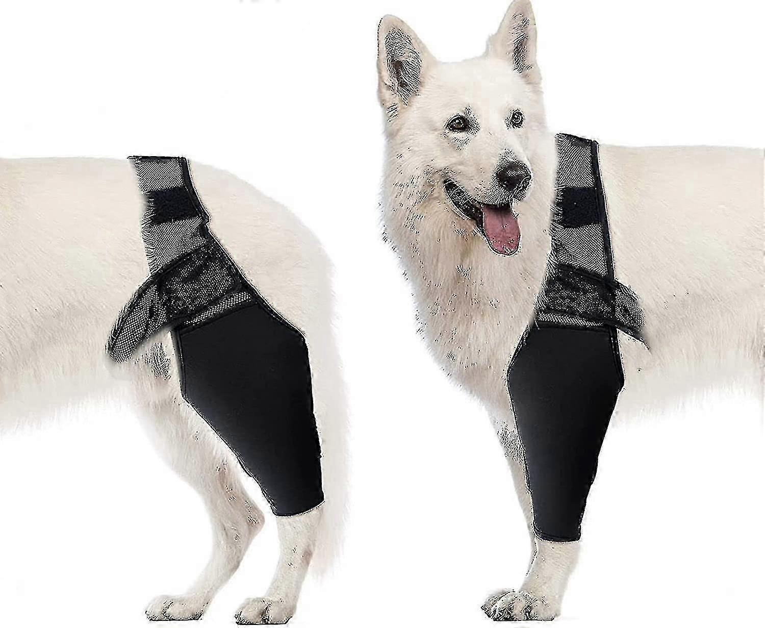 Dog Elbow and Shoulder Support for Dysplasia and Arthritis