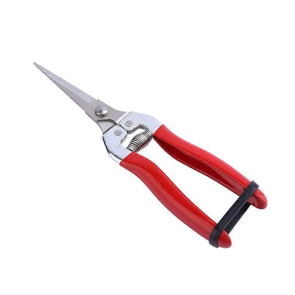 Pruning Shears Garden Tools Stainless Steel Tree Pruning Pruning Fruit (Size: Small Size)