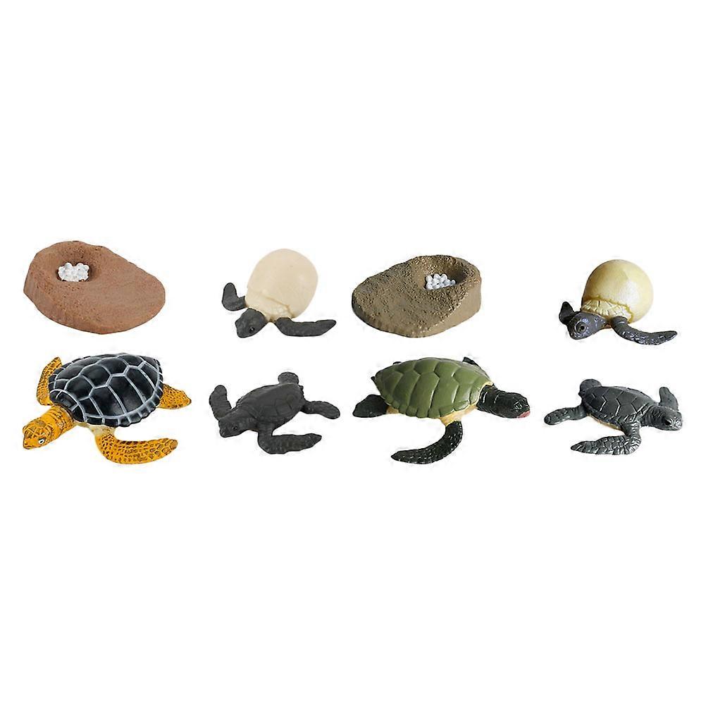Cognitive Aid Sea Cycle Model Assorted Color Toy for Biological Learning Turtle Shape 2 Sets