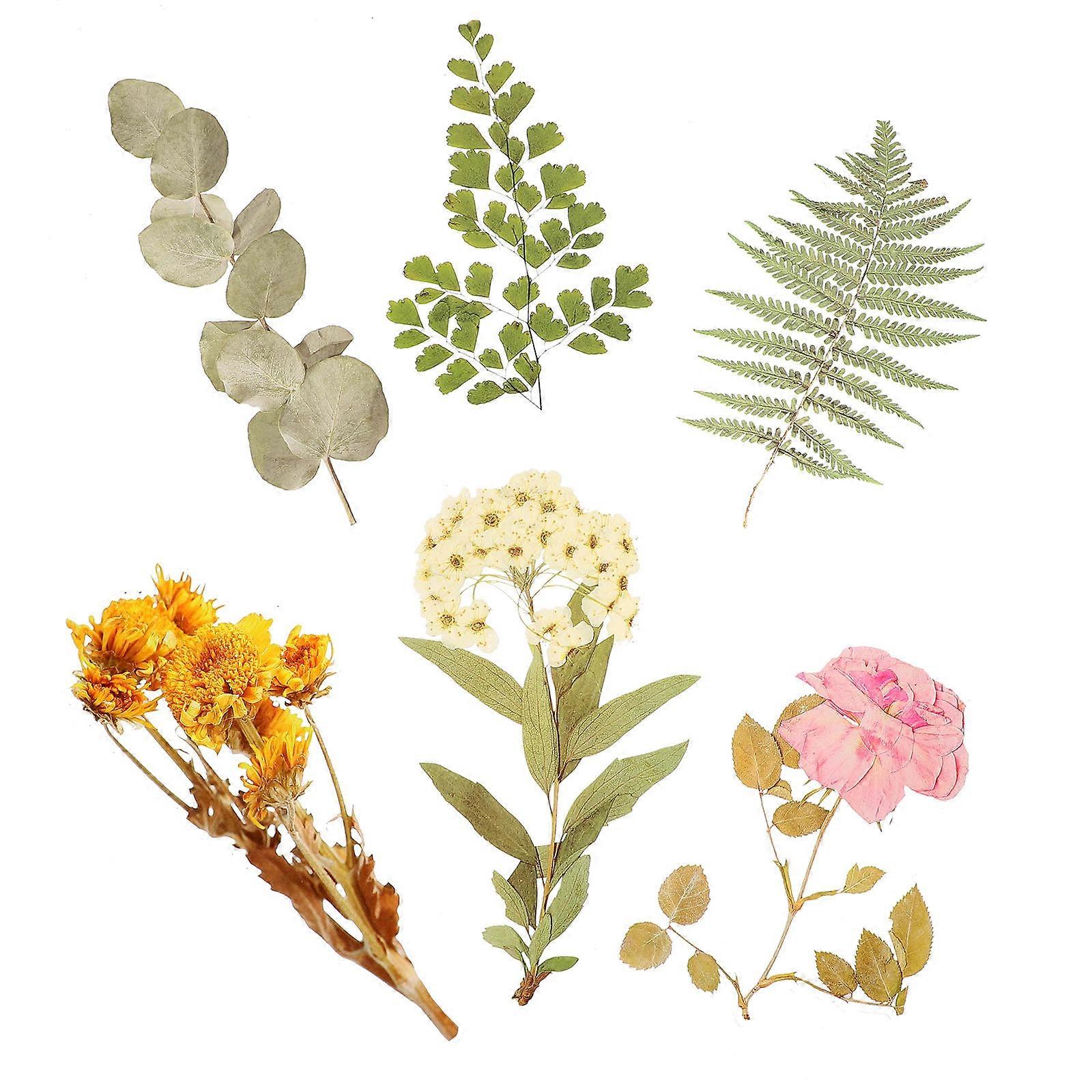 6 Pack Decorative Plant & Flower Stickers for Journaling, Scrapbooking, DIY Crafts – Safe, Pet Friendly Material, Assorted Styles for Personalization