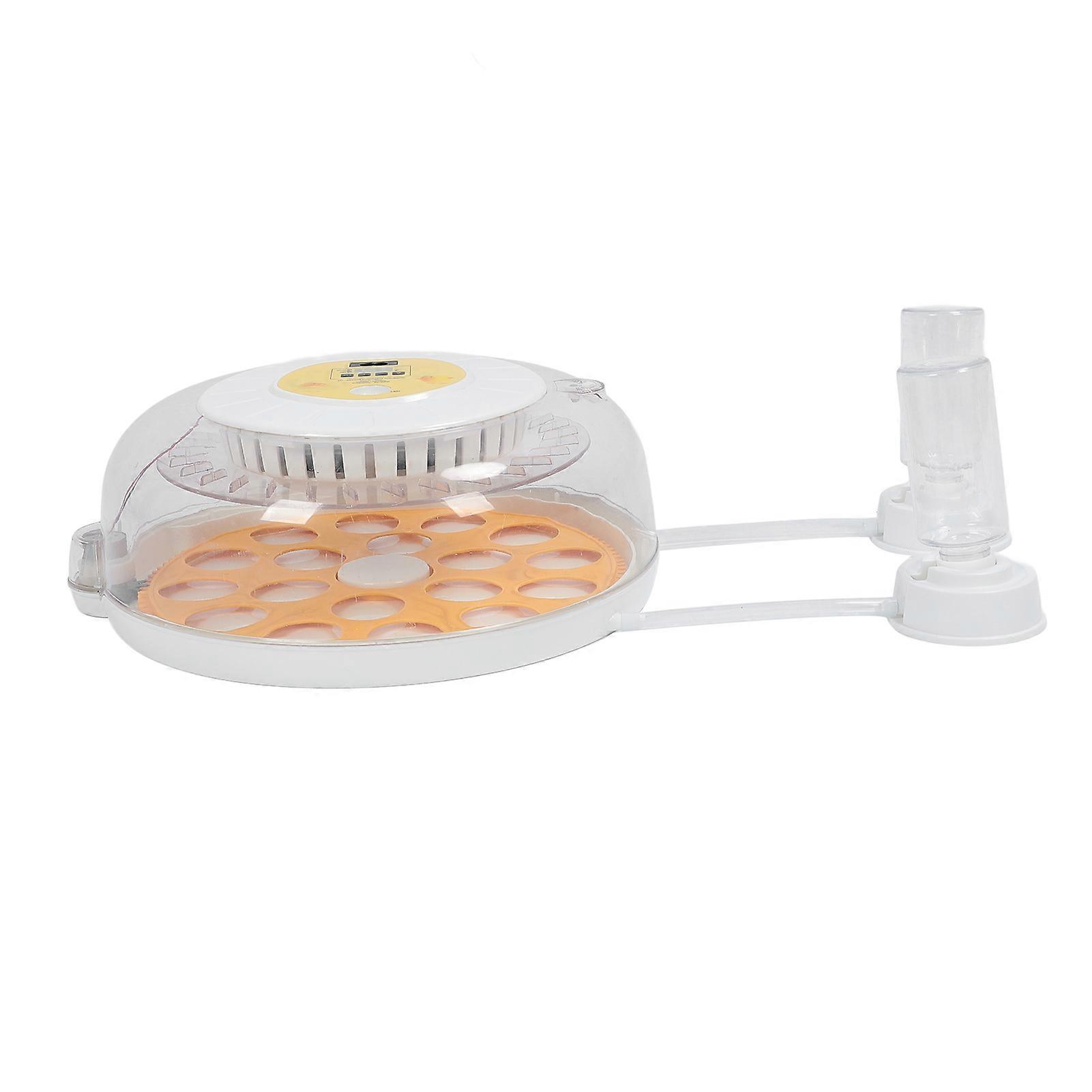 Eggs Incubator Automatic Turner Versatile Transparent Lid Easy to Use Egg Hatching Incubator for Chicken Duck Goose Eggs