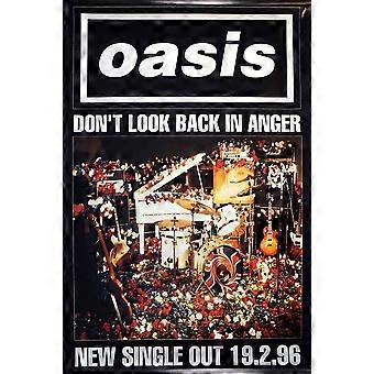 Oasis O0002, Jigsaw Puzzle ZRC182