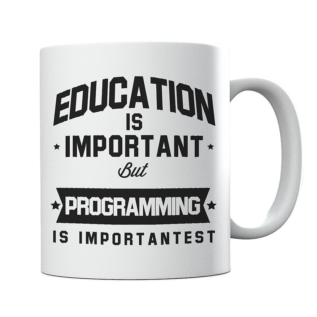 Education Is Important But Programming Is Importantest Mug